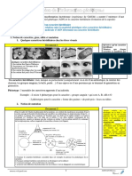 Expression de L Information Genetique Cours 1 2