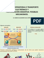 Cadena Respiratoria