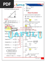 P2 - R - T - Angulos Agudos - 2022 - Iii