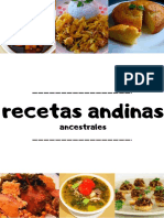 Recetas Andinas