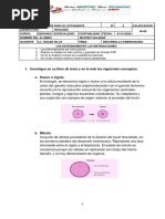 Desarrollo Embrionario Tarea Biologia