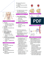 Chapter 10 Endocrine System