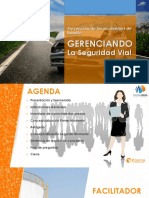 Gerenciando La Seguridad Vial