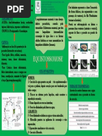 Mapa Mental Equistossomose