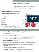 Pneumologie Si Nursing Specific