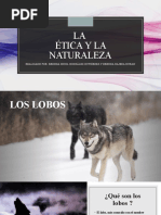 Lobos 