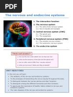 Unit 5 The Nervous and Endocrine Systems