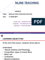 Muscle Structure and Functions