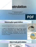 5 Gastrulation