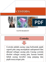 Pertemuan 8 Cestoda