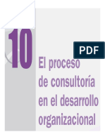 11.el Proceso de Consultoria en El Do