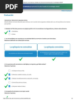 Modulo Epilepsia