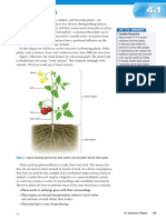 Sp10 - c04!4!1 Systems in Plants