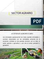 Sector Agrario