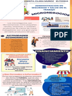 Infografia Clara Muñoz Micronegocios