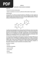 Practica - Flavonoides