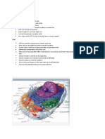Cell Physiology