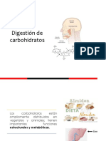 Digestión de Carbohidratos