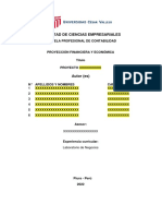 Esquema de Proyección Financiera y Económica A Nivel Gerencial