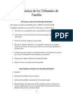 Guía Práctica de Los Tribunales de Familia