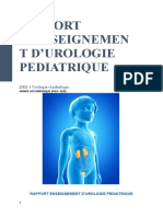 Rapport Enseignement Des3 Urologie