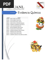 Equipo 5 - Evidencia - Etp 3 - Quimica