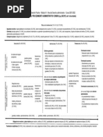 Esquema Procedimiento Administrativo