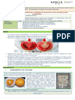 ¿Cuáles Son Nuestros Derechos y Deberes en Relación A Una Alimentación Saludable 2022