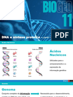 DNA - Rna e Replicação Do DNA