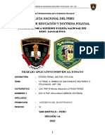 Ensayo-Ultraje A Símbolos Nacionales Militares o Policiales