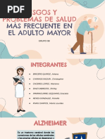 Riesgos y Problemas de Salud. Adulto Mayor