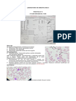 11-08. Lab Hemato II. Práctica 2.