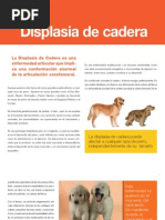 1 - Displasia de Cadera