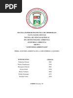 Informe de Auditoría Ambiental de La Agroempresa