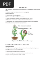 Adaptation in Flowers For Pollination