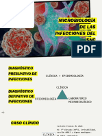 4.microbiología de Las Infecciones Del SNC