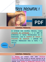 11â° Sa-Atencion Prenatal