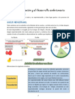 La Fecundación y El Desarrollo Embrionario: La Fecundacion Ciclo Menstrual