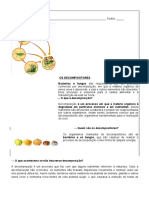 Atividade de Ciências - Classroom 7