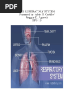 The Respiratory System