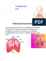 Informe de Aparato Respiratorio 