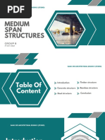 TASK 1 Medium Span Structures