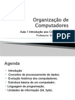 Aula 1 Organização