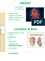 Cardiovascular System