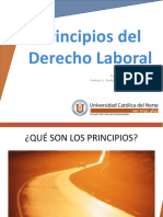 Principios Derecho Laboral