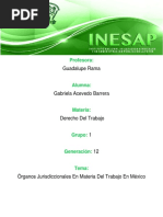 Organos Jurisdiccionales en Materia Del Trabajo en Mexico