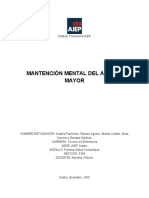 Informe Proyectos Mantencion Mental Tipo Practica Comunitaria