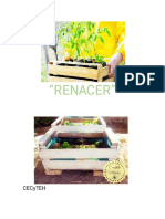 RENACER