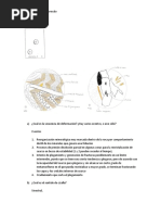 Lab Microtectonica