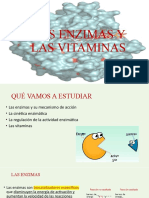 Las Enzimas y Vitaminas (Autoguardado)